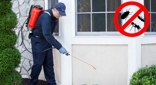 Kahta Kemirgen İlaçlama böcek ilaçlama ve haşere kontrolü — ilaclama-tr.com